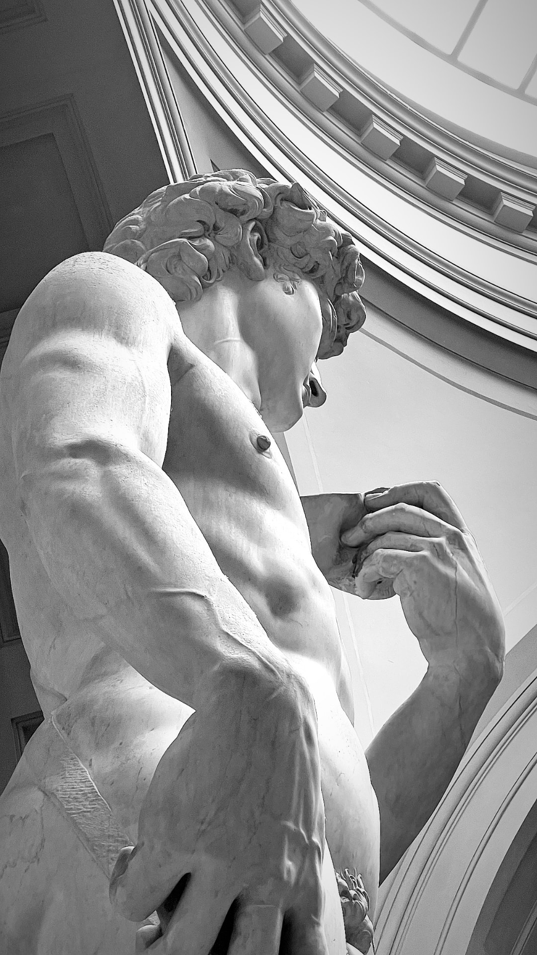 Michelangelo's David